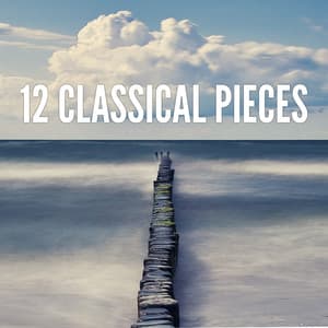 12 Classical Pieces - Classical Study Music