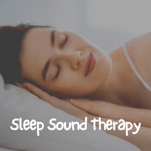 Sleep Sound Therapy - Relaxation Sleep Meditation