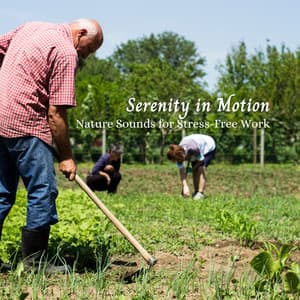 Serenity in Motion: Nature Sounds for Stress-Free Work - Nature Sounds Worldwide