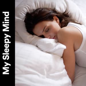 My Sleepy Mind - Natural Baby Sleep Aid Academy