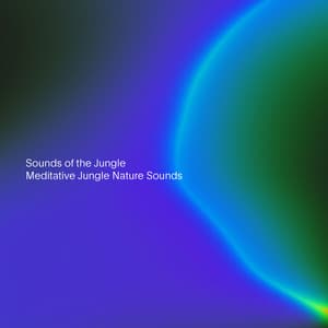 Meditative Jungle Nature Sounds - Sounds of the Jungle