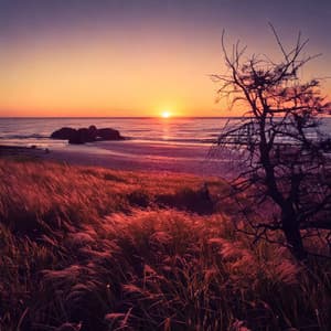 Chill Lofi for Soft Vibes - Relaxing Music Machine