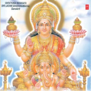 Vakratunda Mahakaaya Sri Laxmi Sahasranamavali - Narsimha