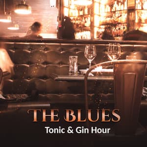 The Blues, Tonic & Gin Hour - Moon BB Band