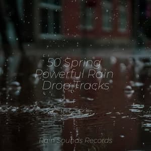 50 Spring Powerful Rain Drop Tracks - Calming Waves