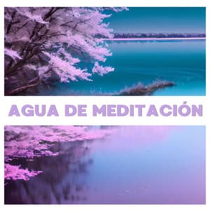 Agua de Meditación: La Mejor Música Relajante Natural para Mantener la Mente Tranquila y Meditar - Meditando