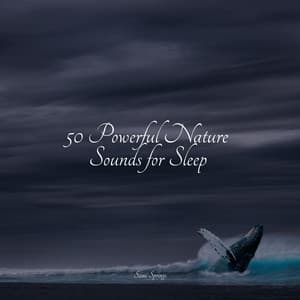 50 Powerful Nature Sounds for Sleep - Soothing Music Academy