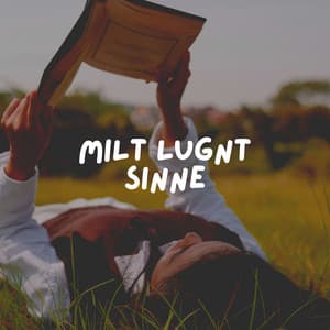 Milt Lugnt Sinne - Avslappnande Meditation Akademi