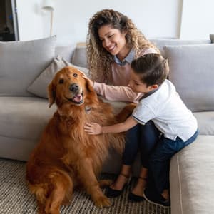 Harmonic Pet Bonding Time: Soothing Binaural Theta Frequencies for Connection - Theta Time