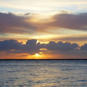 1 Waterfront: Natural Illumination - Nature Sound Collection