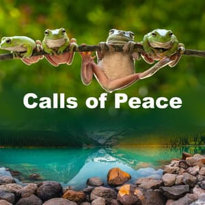 Calls of Peace - Owl Sounds