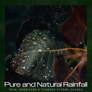 Pure and Natural Rainfall - Rain, Hurricane & Thunder Storms Sounds