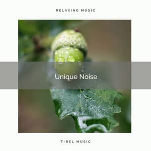 1 Unique Noise - The Noise Project