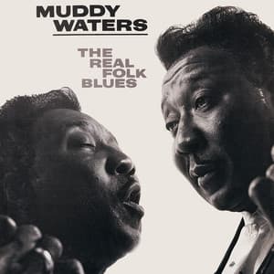The Real Folk Blues - Muddy Waters