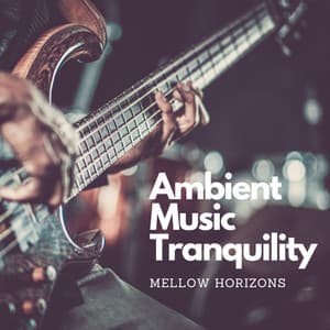 Ambient Music Tranquility: Mellow Horizons - Source Vibrations