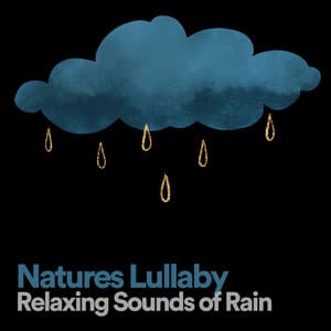 Natures Lullaby Relaxing Sounds of Rain - Rain Storm Sample Library