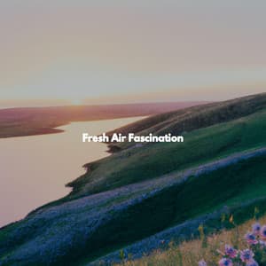 Fresh Air Fascination - Jazz Rilassante Playlist