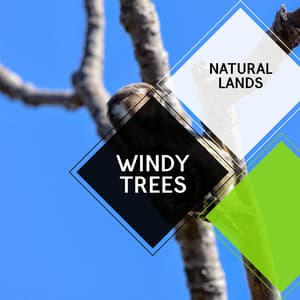 Windy Trees - Natural Lands - Sleepy Times