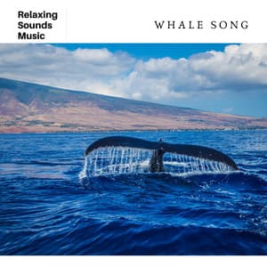 Whale Song for Sleep - Ocean Waves Radiance