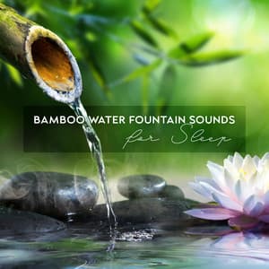 Bamboo Water Fountain Sounds for Repose - Joyce Long