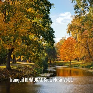 Tranquil BINAURAL Beats Music Vol. 1 - State of Distraction