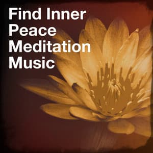 Find Inner Peace Meditation Music - Oasis de Détente et Relaxation