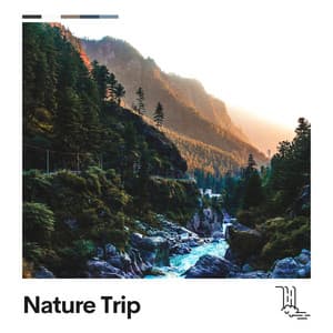 Nature Trip - Babbling Brook