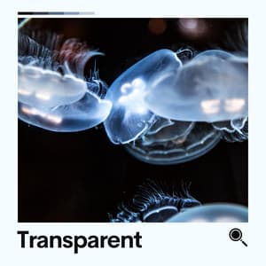Transparent - Ambient Sample Library
