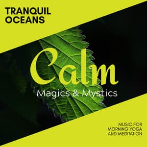 Tranquil Oceans - Music for Morning Yoga and Meditation - Relaxing Minds