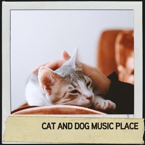 Cat and Dog Music Place: Soothing Sounds for Furry Friends - Hundemusikk