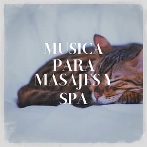 Música para Masajes y Spa - Musique de Relaxation