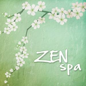 Zen Spa - Asian Zen Spa Music for Meditation - Asian Silence Duo