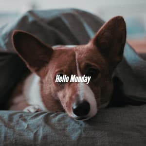 Hello Monday - Happy Morning Music