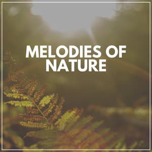 Melodies of Nature - Island Nature Sounds