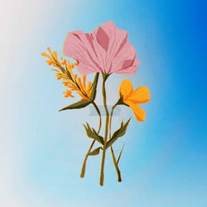 Music for First Horizons - Soft Background Music