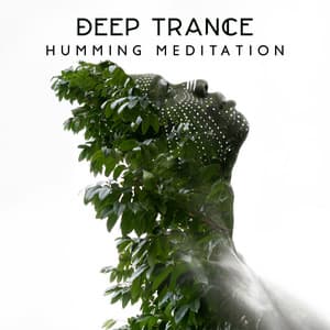 Deep Trance Humming Meditation - Shamanic Meditation Tribe