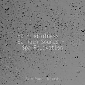50 Mindfulness - 50 Rain Sounds - Spa Relaxation - Canciones de Cuna para Bebés Acadèmico