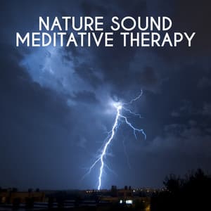 Nature Sound Meditative Therapy - Nature Sounds Meditation