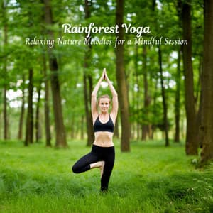 Rainforest Yoga: Relaxing Nature Melodies for a Mindful Session - Rainded