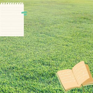 Feelings for Entertaining Classics - Work at Home Music