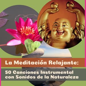 La Meditación Relajante: 50 Canciones Instrumental con Sonidos de la Naturaleza - Música de Armonia, de la Flauta, Guitarra, En Compañía de Piano, Musica Reiki Relajación, Yoga Clase, Zen Espiritualidad Ambiente y Dormir Descansar - Academia de Música para el Alma