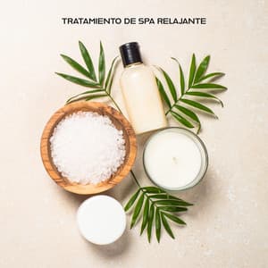 Tratamiento de Spa Relajante: Spa de Lujo en Casa - Serenidad Academy