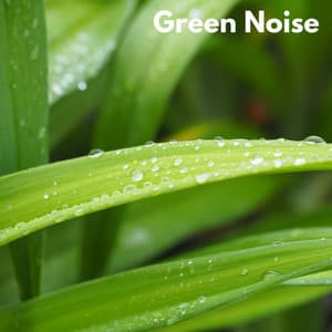 Green Noise - Calming Nature Sounds