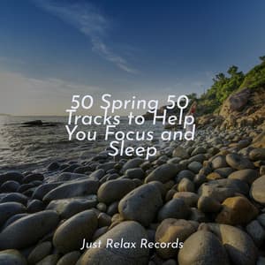 50 Spring 50 Tracks to Help You Focus and Sleep - Deep Sleep Relaxation