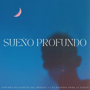 Sueño Profundo: Sonidos Relajantes Del Bosque Y Los Pájaros Para La Siesta - Colección de sonidos de la naturaleza