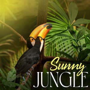Sunny Jungle: Morning Ambience, Amazing Tropical Birds, Singing In the Forest - The Outdoor Library