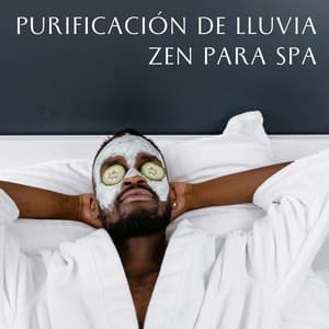 Purificación De Lluvia Zen Para Spa - Príncipe de la lluvia