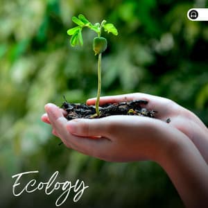 Ecology - Nature Sound Collection