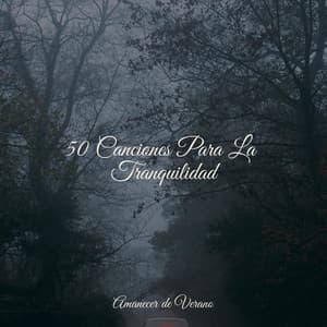 50 Canciones Para La Tranquilidad - Relajación Piano