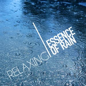 Relaxing Essence of Rain - Relaxing Sounds of Rain Music Club